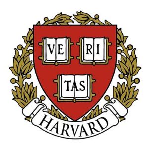 طراحی لوگو در مشهد آوند استودیو