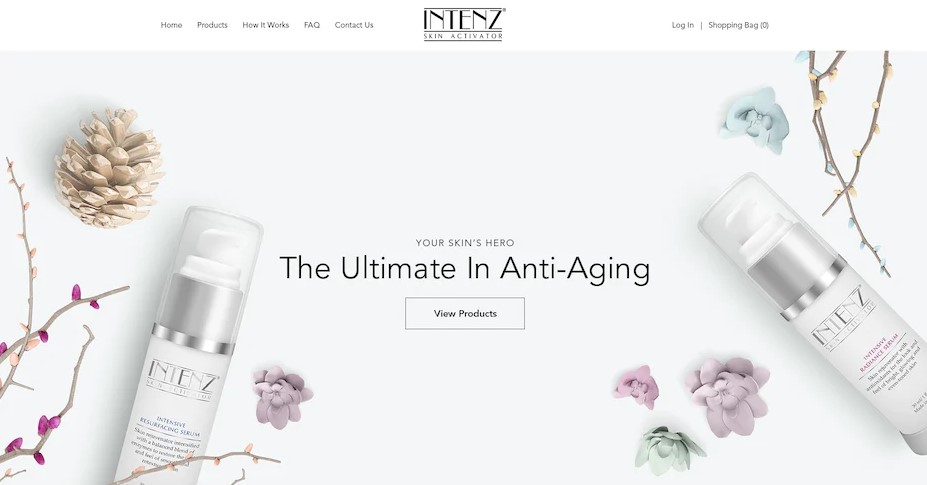 طراحی سایت در مشهد