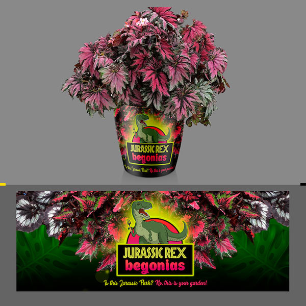 ترندهای طراحی بسته بندی