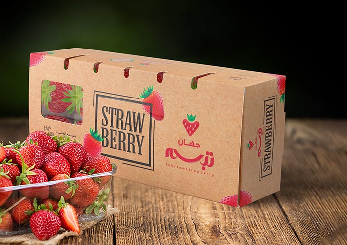 طراحی بسته بندی مواد غذایی آوند استودیو مشهد