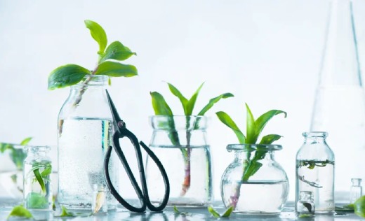 عکاسی صنعتی از محصولات شیشه ای